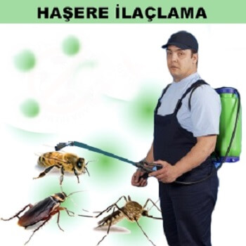 Keşap Böcek İlaçlama